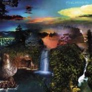Tortoise, It's All Around You (LP)