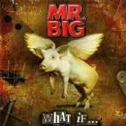 Mr. Big, What If... (CD)