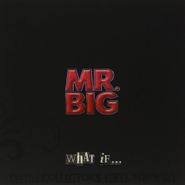 Mr. Big, What If... (CD)