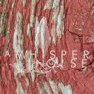 A Whisper in the Noise, To Forget (CD)