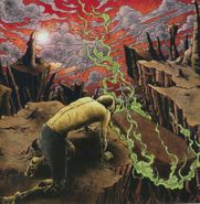 Dysentery, Internal Devastation (CD)