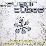 The Sugarcubes, Here Today, Tomorrow Next Week! (CD)