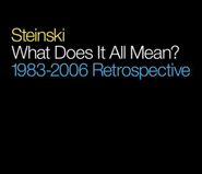 Steinski, What Does It All Mean? 1983-2006 Retrospective (CD)