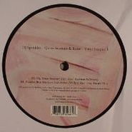 DJ Sprinkles, Queerifications & Ruins: Vinyl Sampler 1 (12")