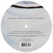 DJ Sprinkles, Queerifications & Ruins Vinyl (12")