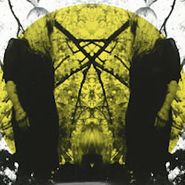 Austra, Feel It Break [Deluxe Edition] (CD)