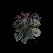Nhor, Wildflowers (LP)