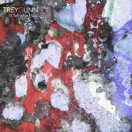 Trey Gunn, I'll Tell What I Saw (CD)