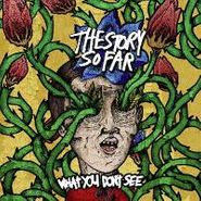 The Story So Far, What You Don't See (CD)