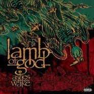 Lamb Of God, Ashes Of The Wake (LP)