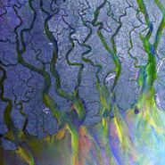 Alt-J, An Awesome Wave [Limited Tour Edition] (CD)