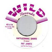 The Two Timers, Rattlesnake Shake (7")