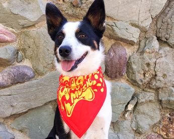 Amoeba Dog Bandana