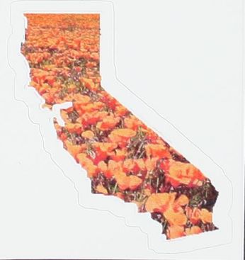 California Poppies (Sticker)