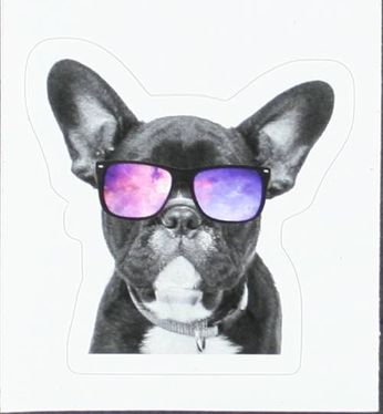 Chill Dog - Future's So Bright I Gotta Wear Shades (Sticker)