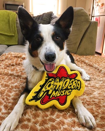 Amoeba Dog Toy