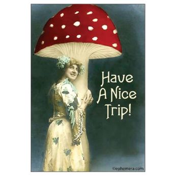 Have A Nice Trip! (Magnet)
