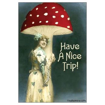 Have A Nice Trip! (Magnet)