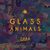 Glass animals zaba vinyl