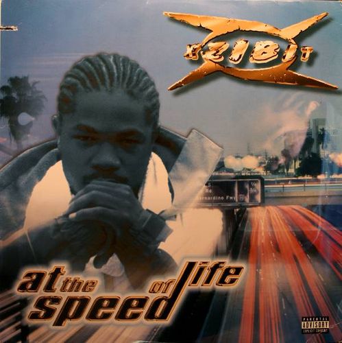 Gøre en indsats Aja Par Xzibit - At The Speed Of Life (Vinyl LP) - Amoeba Music
