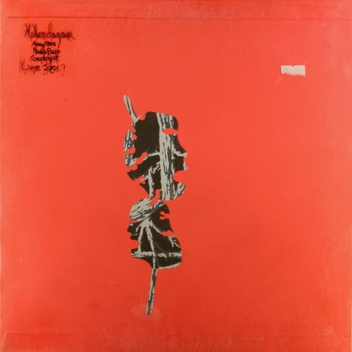 Animal Collective - Hollinndagain [Hand Painted Cover] (Vinyl LP) - Amoeba  Music