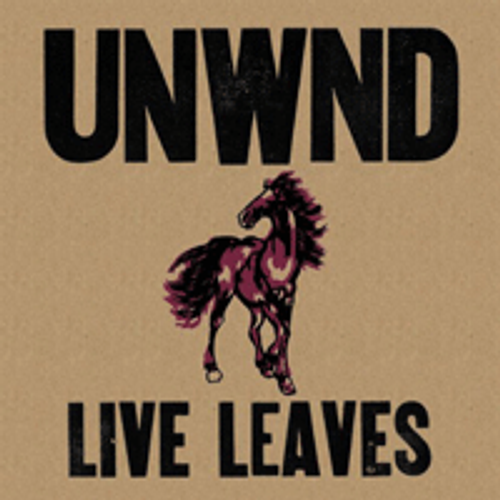 Unwound Live Leaves Vinyl Lp Amoeba Music