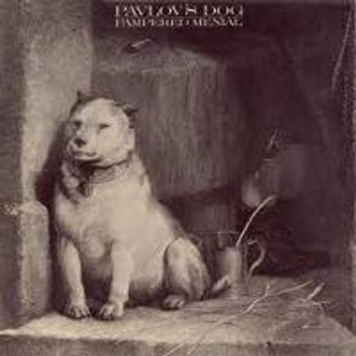 Pavlov's Dog Pampered Menial (CD) Amoeba Music