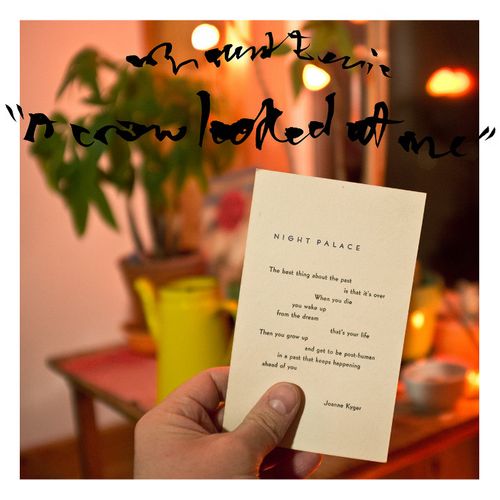 Mount Eerie A Crow Looked At Me Vinyl Lp Amoeba Music