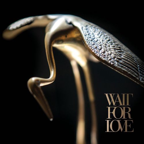 Album Art for Wait For Love by Pianos Become the Teeth