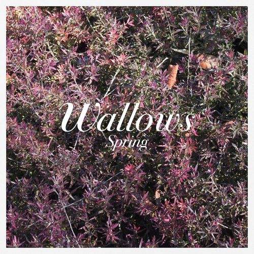 Wallows Spring Ep Pink Green Vinyl Vinyl Lp Amoeba Music