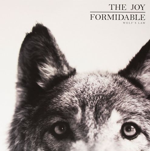The Joy Formidable Wolf S Law Vinyl Lp Amoeba Music