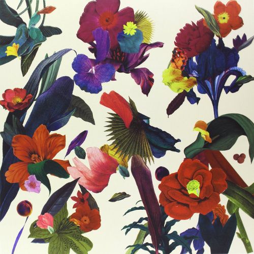 WASHED OUT PARACOSM LP クリアビニール Washed Out: Paracosm Vinyl LP — TurntableLab.com