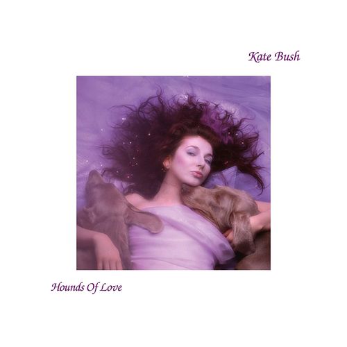 Album Art for Hounds Of Love by Kate Bush