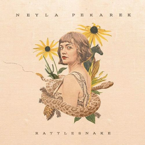 Album Art for Rattlesnake by Neyla Pekarek