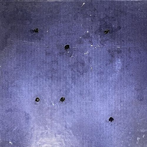 洋楽 Nine Inch Nails Bird Box vinyl box set Trent Reznor & Atticus Ross Bird Box Soundtrack 180g 4LP Box Set