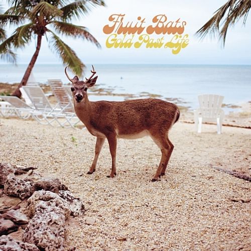 Fruit Bats Gold Past Life Opaque Aqua Vinyl Vinyl Lp Amoeba Music