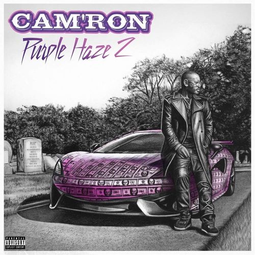 Cam'ron - Purple Haze 2 (Vinyl LP) - Amoeba Music
