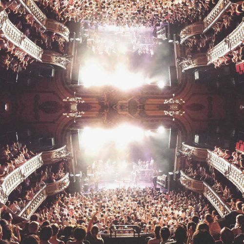 Edward Sharpe And The Magnetic Zeros Live In No Particular Order