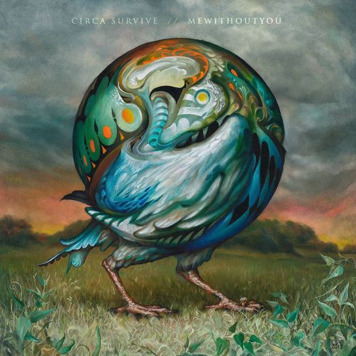 Circa Survive Mewithoutyou Circa Survive Mewithoutyou Split Record Store Day Vinyl 7 Amoeba Music