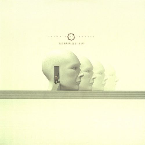 Animals As Leaders The Madness Of Many Transparent Blue Vinyl Vinyl Lp Amoeba Music