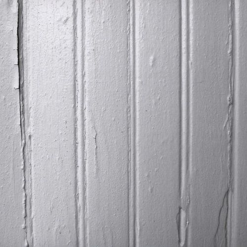 Beach Fossils Album Art