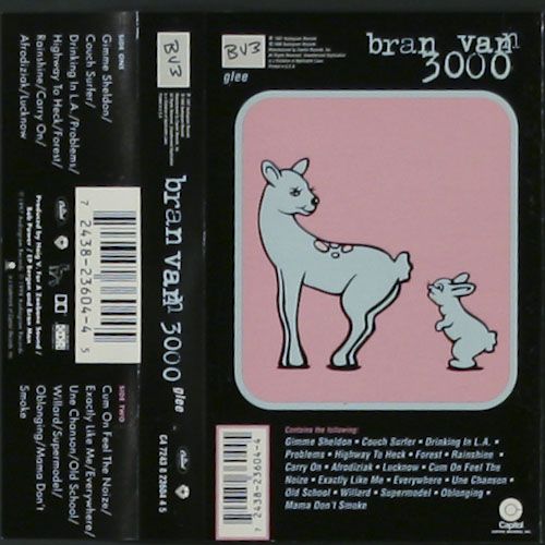 Bran Van 3000 3000 Cassette Amoeba Music Gimme sheldon, couch surfer, drinking in l.a. amoeba music