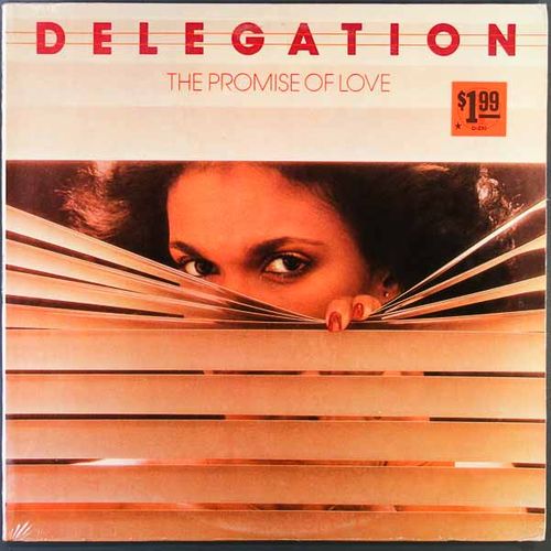 Delegation - The Promise Of Love [Original Issue] (Vinyl LP