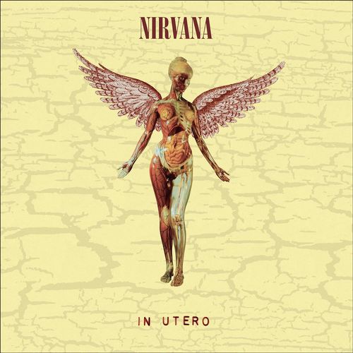 Nirvana - In Utero [30th Anniversary Deluxe Edition] (CD