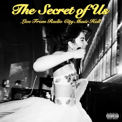 Gracie Abrams The Secret Of Us Live レコード Gracie Abrams The Secret Of Us Deluxe Japan Edition CD Pink