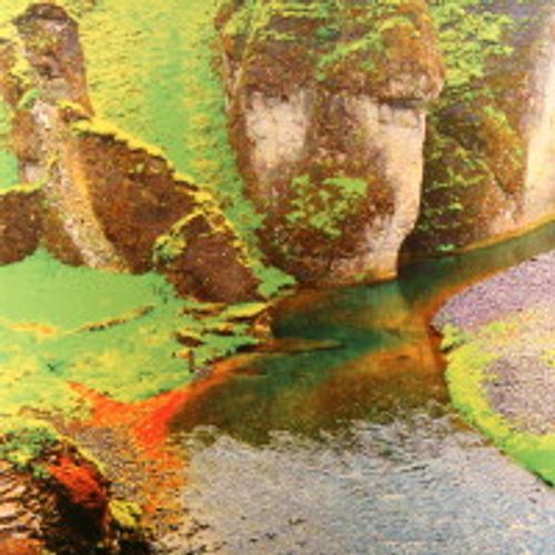 Clams Casino Rainforest (Vinyl 12") Amoeba Music