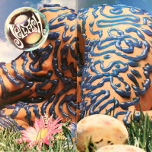 Jellyfish Bellybutton (Vinyl LP) Amoeba Music