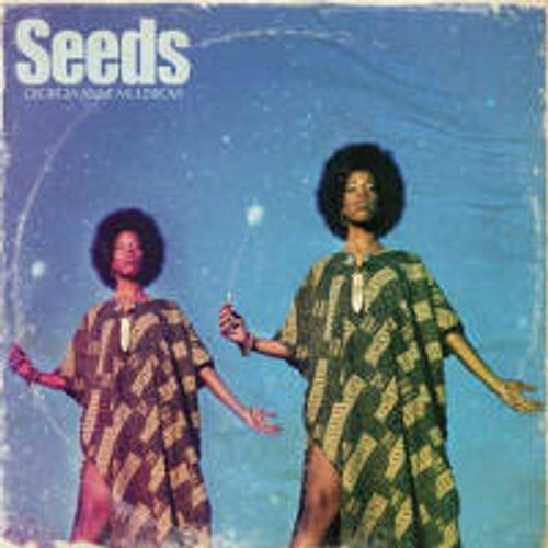 Georgia Anne Muldrow Seeds Vinyl Lp Amoeba Music