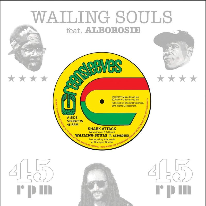 Firehouse Rock by The Wailing Souls - New on CD