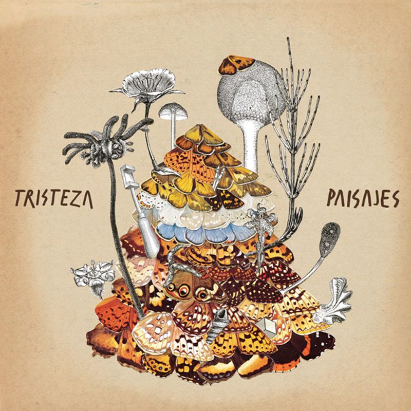 Tristeza Paisajes Cd Amoeba Music